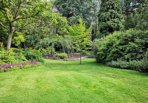 Optimiser l'expérience du jardin à Neuilly-le-Bisson